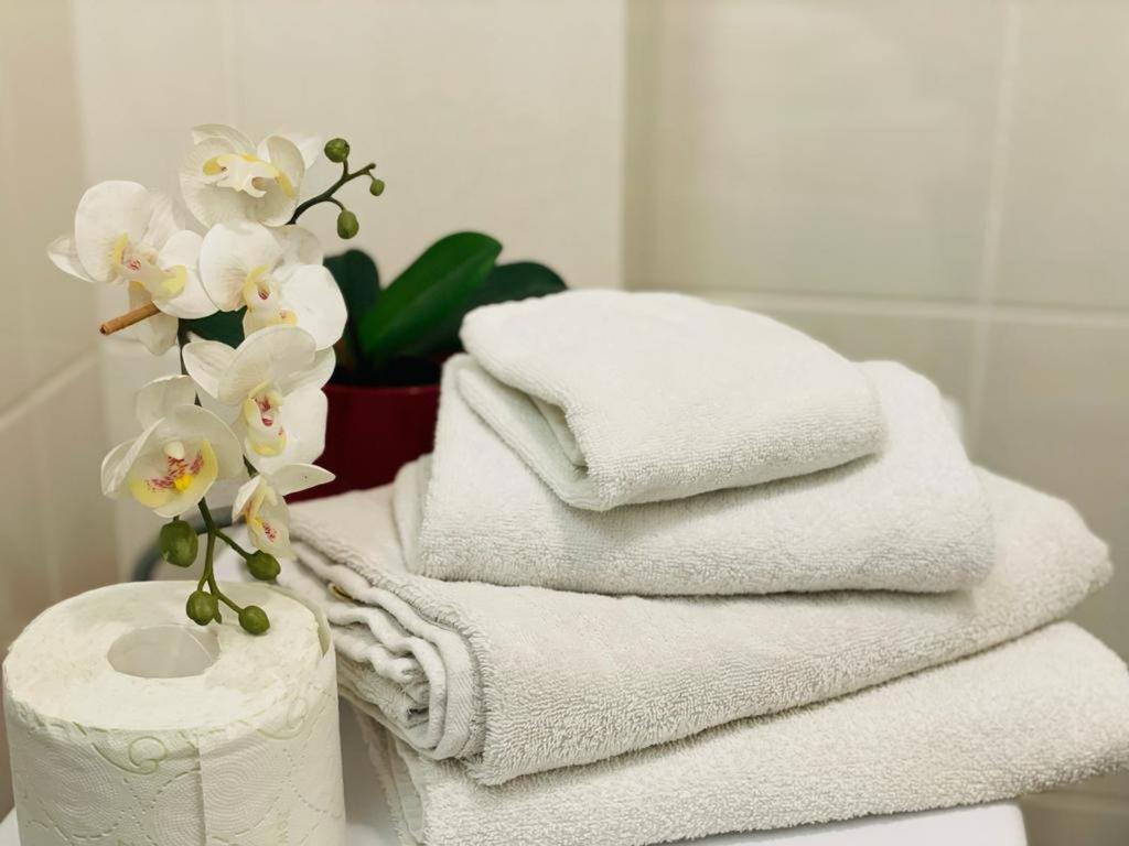 Tranzzit Airport Apartament 奥托佩尼 外观 照片