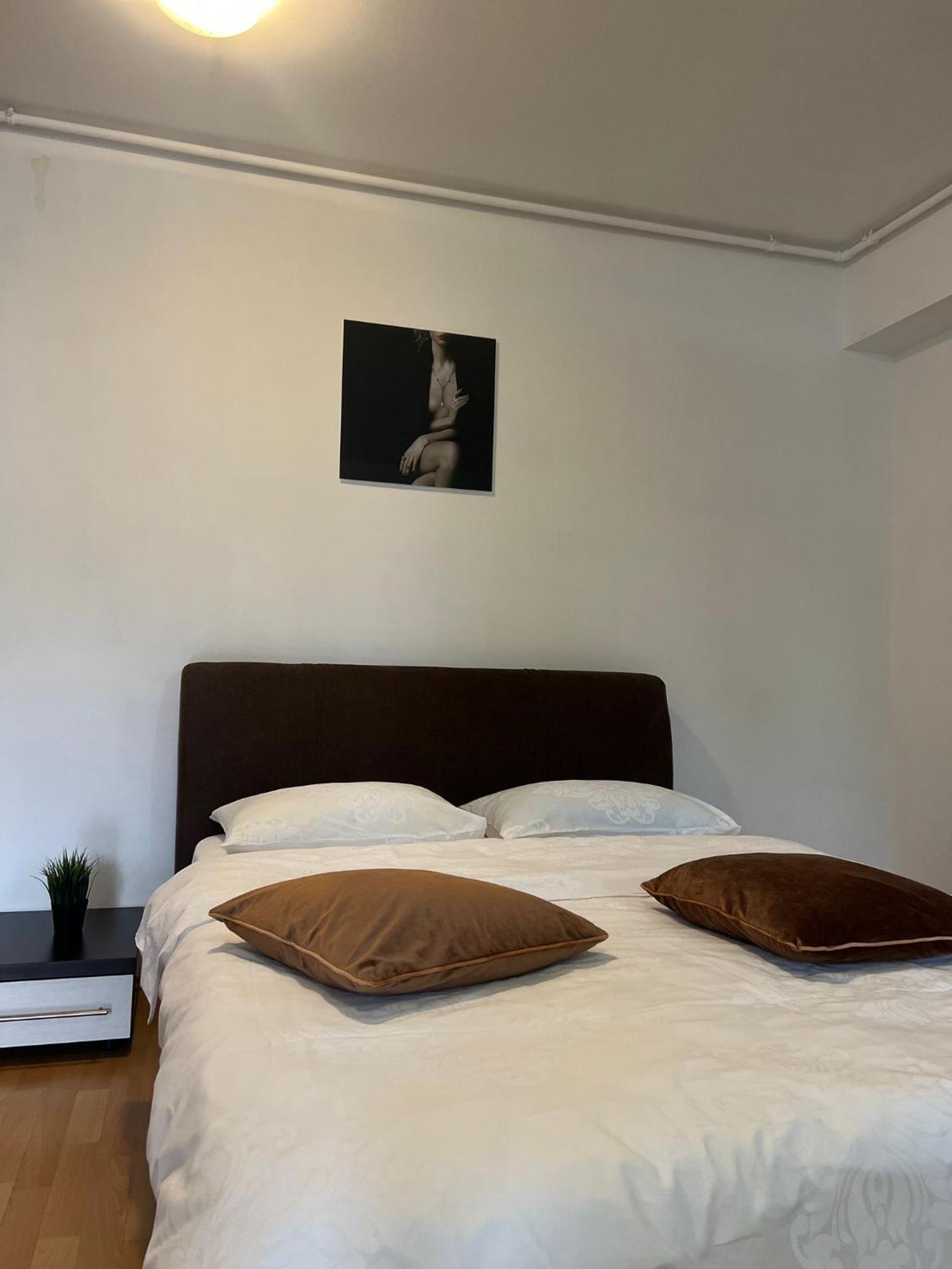 Tranzzit Airport Apartament 奥托佩尼 外观 照片