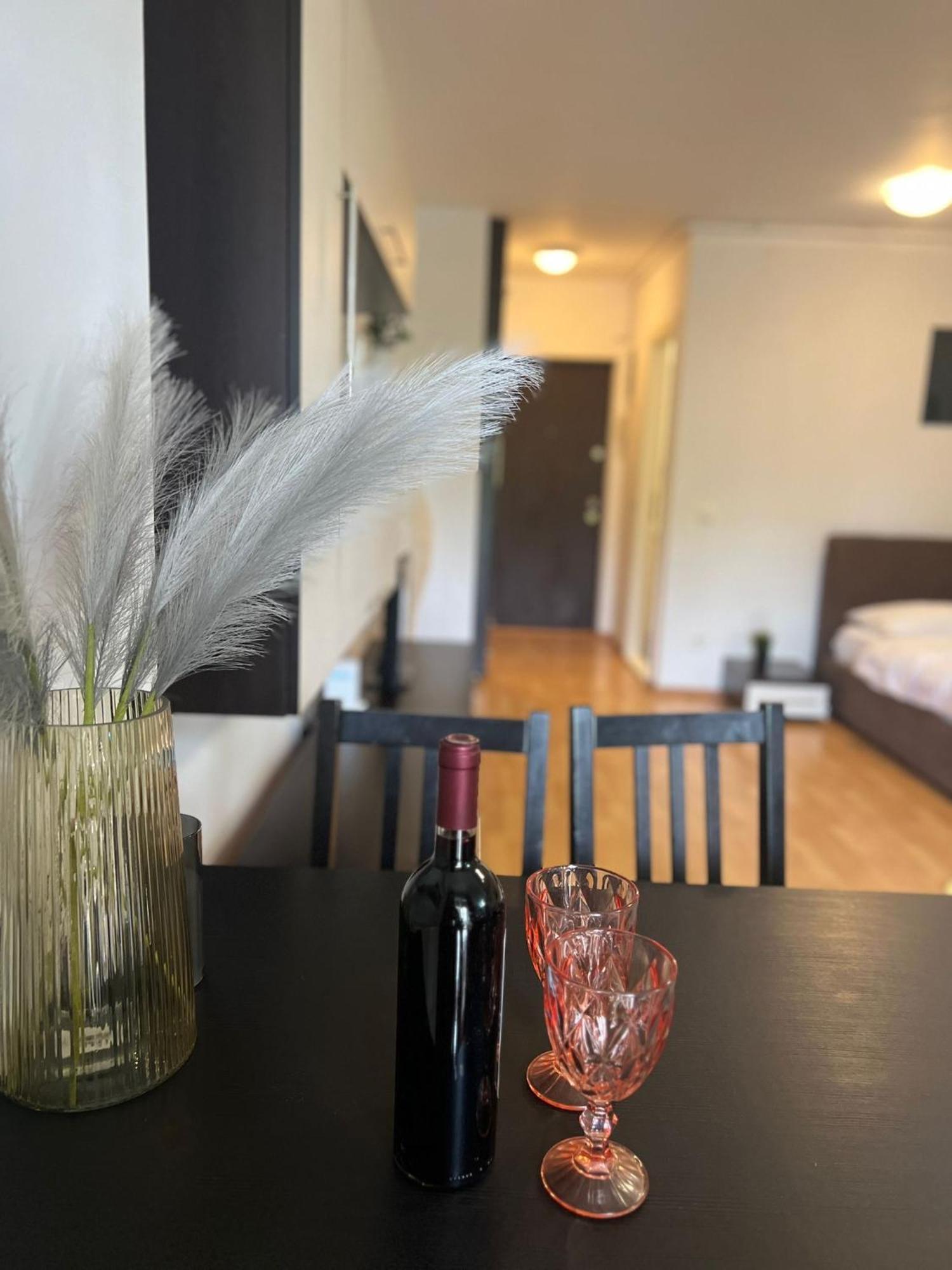 Tranzzit Airport Apartament 奥托佩尼 外观 照片